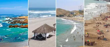 Las familias podrán gozar de las playas con aguas cristalinas más recomendadas. Top 7 de playas con aguas cristalinas para disfrutar cerca de Lima con solo 40 soles
