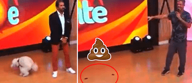 Perrito se hace "popo" EN VIVO durante entrevista y conductores se desesperan buscando una bolsa Perrito se hace "popo" EN VIVO durante entrevista y conductores se desesperan buscando una bolsa