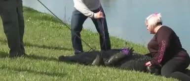 El perro sobrevivió, pero la mujer falleció. Mujer de 85 años murió tras ataque caimán por defender a un perro