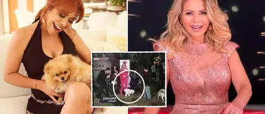Magaly Medina troleó a Gisela Valcárcel tras ser orinada por un perrito en una tranmisión en vivo La vez que perrito se orinó en el vestido de Gisela Valcárcel y Magaly Medina se burló: "Creo que fue mi mascota"