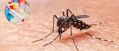 Conoce los síntomas del dengue. Perú declara emergencia sanitaria en 13 regiones por expansión del dengue