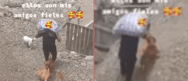 Perrito ayuda contento a su papá humanos. Perrito ayuda a su papá humano a llevar las bolsas de compras y cautiva en las redes