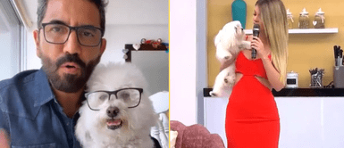 Fernando Díaz hizo inesperado comentario sobre perrito de Brunella. Fernando Díaz arremete contra 'América Hoy' por supuesta copia a su programa: "¿Ahora son pet friendly?"