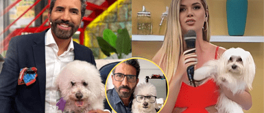 Fernando Díaz se queja de Brunella Horna por llevar mascota y copiarse de él. Fernando Díaz acusa a “América Hoy” de copiar su programa