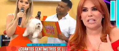 Magaly Medina se burla de Brunella Horna por quejarse con producción de América Hoy Magaly Medina a Brunella Horna por quejas de 'América Hoy': "Estás en el lugar equivocado"