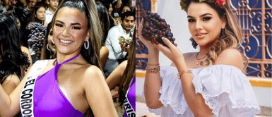 Hija de Evelyn Vela se desmayó en certamen Hija de Evelyn Vela se desmayó a poco de ser elegida reina de la Vendimia 2023: “Las fuerzas no me daban”