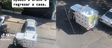 La escena se volvió viral en redes sociales. Buscan a perrito con un megáfono por todo el vecindario: "Bruno es parte de nuestra familia"