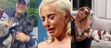 Mujer que estuvo relaciona en el robo de las mascotas ahora pide una indemnización de 1,5 millones de dólares. Piden demanda millonaria a Lady Gaga por no pagar recompensa de sus perros