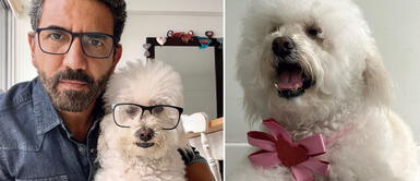 Perrita de Fernando Díaz se volvió virales tras hacer sus necesidades en vivo Perrita de Fernando Díaz: De hacer sus necesidades EN VIVO a ser el nuevo jale de 'Arriba Mi Gente'