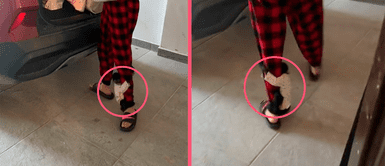 Monita causa ternura en redes sociales por no despegarse de la pierna de su mamá humana Monita causa ternura en redes sociales por no despegarse de la pierna de su mamá humana