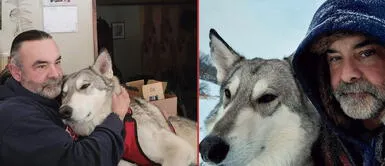 'Zeuz' es un perro ejemplar y demostró que con perserverancia todo se puede conseguir. Aplauden a perrito que fue adoptado luego de ser rechazado por ser mitad lobo: "Es muy dulce"