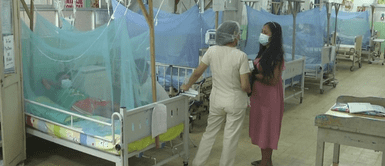 Conoce los síntomas del dengue. San Martín: reportan cuatro fallecidos por dengue y más de 1,200 casos