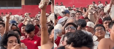 El perrito lucía emocionado con su dueño en el estadio. Hincha de la 'U' alienta con su perrito en hombros: "Para el clásico"