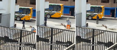 Peruano enciende la polémica al destruir rampa que era utilizada por niños con discapacidad en San Juan de Lurigancho Peruano enciende la polémica al destruir rampa que era utilizada por niños con discapacidad en San Juan de Lurigancho