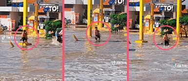 Niño se enfrenta a inundaciones en Piura con tal de salvar a su perrito Niño se enfrenta a inundaciones en Piura con tal de salvar a su perrito: "El mejor amigo"