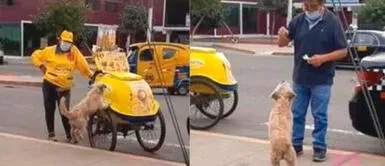 El perrito siempre busca a los carritos de helados. Perrito persigue a heladera para que le compren su helado y su dueña revela que está mal acostumbrado: "Se pasa"