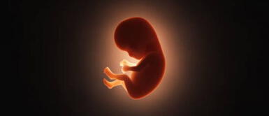 Feto de 10 cm es hallado vivo en el cerebro de una menor de tan solo un año Feto de 10 cm es hallado vivo en el cerebro de una menor de tan solo un año