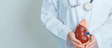 Aprende a cuidar tus riñones para una buena salud. ¿Cómo cuidar la salud de tus riñones? Sigue estas ocho reglas básicas