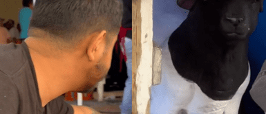 El señor sufrió los estragos de la resaca. ¡Se pasó de copas! Ebrio confunde una estatua con un perro y causa risas en usuarios