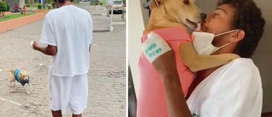 Perra tuvo la tierna paciencia de esperar a su dueño en el hospital de Brasil Perrita esperó semanas fuera de hospital para ver a su 'papá' sano y salvo