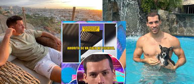 Destruyen a Patricio Parodi por decir que "techito" de su mansión de Las Casuarinas se caerá por las lloviznas Destruyen a Patricio Parodi por decir que "techito" de su mansión se caerá por las lloviznas