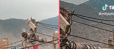 Santa Anita: vecinos reportan extraño comportamiento de las aves en el cielo y temen lo peor Santa Anita: vecinos reportan extraño comportamiento de las aves en el cielo y temen lo peor