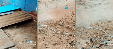 Hombre usa peculiar truco para evitar inundación de su casa por lluvias "Lo busca la NASA": hombre usa peculiar truco para evitar inundación de su casa por lluvias