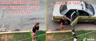 La perrita salió del taxi como si nada a su casa. Perrita se va de casa y vuelve a los dos días en taxi: "Ya es independiente"