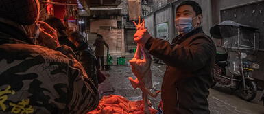 OMS hace fuerte revelación sobre China. China tiene guardada información sobre origen de la pandemia, revela la OMS