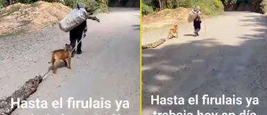 El perrito siempre colabora con su papá humano. Perrito ayuda a su papá humano y lleva enorme tronco de madera: "Hasta el Firulais ya trabaja"