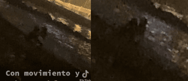 La pareja fue captada en una acalorada escena. Jóvenes se dejan llevar por sus bajos instintos y protagonizan escena 'hot' en la Costa Verde