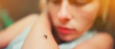 Conoce todos los detalles del dengue. ¿Qué sigue luego de las lluvias? Síntomas, tratamiento y prevención del dengue