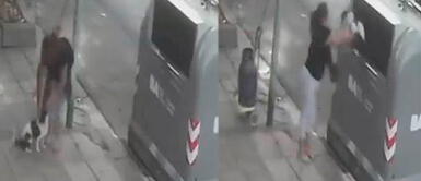 Perrita fue lanzada como basura al tacho de desperdicios. Mujer lanzó a perrita callejera a un basurero y logran rescatarla antes que pase el camión de residuos