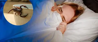 Mujer con pesadillas ¿Qué significa soñar con alacranes? Descubre AQUÍ las razones por lo que esto sucede