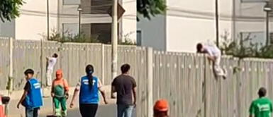 El joven se trepó a lo 'Spider-Man' para ingresar. Postulante llega tarde a examen de admisión de San Marcos y se trepa a lo 'Spider-Man' para ingresar