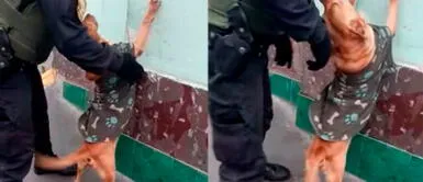 El perrito se emocionó al ser registrado por el agente. Perrito se entrega a la policía para que lo revisen y su reacción se vuelve viral en redes: "Está limpio"