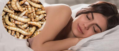 Este sueño habla del temor que tenemos al enfrentarnos a varias situaciones de nuestro entorno. ¿Qué significa soñar con gusanos? ¿Es de buena o mala suerte?