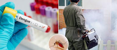 El virus del dengue tiene síntomas que afectan considerablemente a los infantes en el hogar. ¿Qué es el Dengue y cómo se contagia? Estos son los síntomas de la enfermedad del mosquito