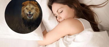 Soñar con leones puede ser que traiga a tu vida cosas negativas y positivas. ¿Qué significa soñar con leones? Descubre el significado de porque esto ocurre