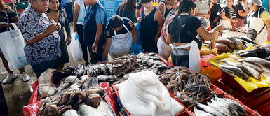Semana Santa 2023: ¿Cuáles son los precios de los pescados en los principales terminales de Lima? Semana Santa 2023: ¿Cuáles son los precios de los pescados en los principales terminales de Lima?