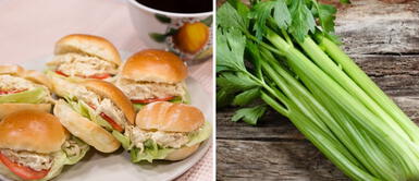 ¿Adiós al pan con pollo y apio? Descubren contaminación del vegetal en el Perú y ya no sería apto para el consumo humano ¿Adiós al pan con pollo y apio? Descubren contaminación del vegetal en el Perú y ya no sería apto para el consumo humano