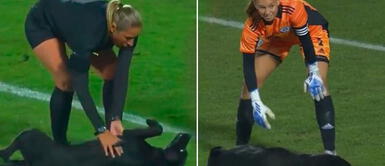 Futbolistas mujeres reaccionaron por la presencia del perro Perrito interrumpió el partido para ser acariciado por las futbolistas y la jueza principal