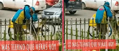 Vendedor de la tercera edad enternece las redes sociales tras ser captado bailando junto con perrito Vendedor de la tercera edad enternece las redes sociales tras ser captado bailando junto con perrito