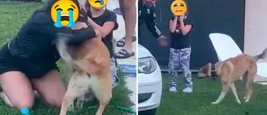 Perro volvió a ver a su familia luego de los dos meses Niñas rompieron en llanto tras reencontrarse con su perrito que estuvo perdido dos meses