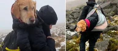 Perra fue encontrada, luego de dos semanas. Estuvo en una cima de una montaña Pareja escaló montaña de nieve para salvar la vida de una perrita, que padeció de frío por dos semanas