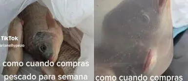 La señora se percató que los pescados estaban vivos. Compra pescados en Semana Santa y se percata que estaban vivos: "Milagro en Domingo de Resurrección"