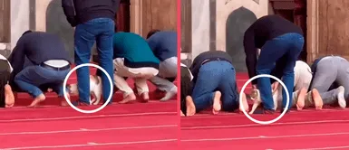 MASCOTAS: Gatito pide atención e interrumpe a grupo de personas rezando y se vuelve viral MASCOTAS: Gatito pide atención e interrumpe a grupo de personas rezando y se vuelve viral