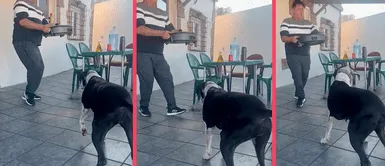 Perrita se enfrasca en dura batalla de baile con su papá humano por comida Perrita se enfrasca en dura batalla de baile con su papá humano por comida