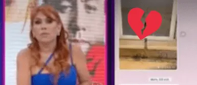 Magaly Medina a Richard Acuña: "Camila lo dejaba en visto" Magaly Medina a Richard Acuña: "Camila lo dejaba en visto"