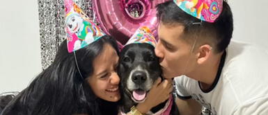 La expareja celebró a lo grande la fiesta de su 'bendición'. Expareja se reúne por cumpleaños de su 'perrihija' y fiesta es viral: "Vuelvan por bien de la bebé"
